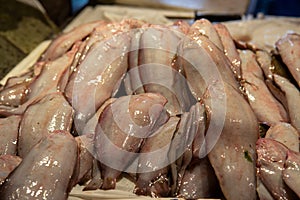 fish market chioggia and sottomarina city in the venetian lagoon near venice famous for its fishing ports