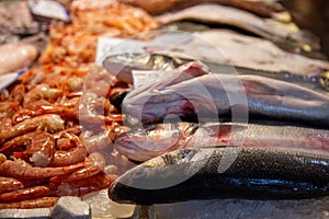 fish market chioggia and sottomarina city in the venetian lagoon near venice famous for its fishing ports