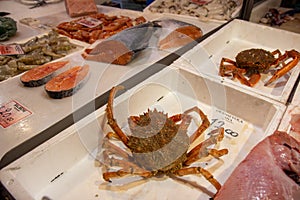 fish market chioggia and sottomarina city in the venetian lagoon near venice famous for its fishing ports