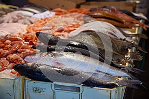 fish market chioggia and sottomarina city in the venetian lagoon near venice famous for its fishing ports