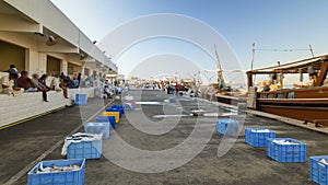 Fish market in the emirate of Ajman timelapse hyperlapse. United Arab Emirates