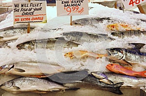 Fish Market Fish