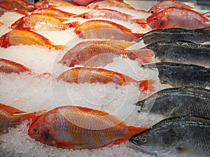 Fish market, Food
