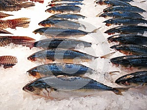 Fish market, Food photo