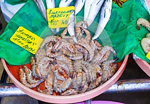 Fish market with fresh sea fishes in Istanbul,