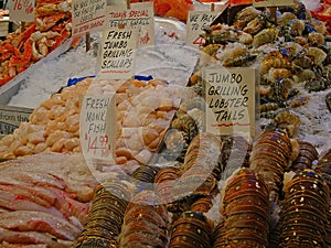 Fish market fresh seafood on display