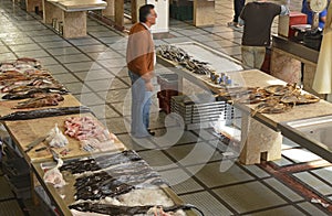 Fish Market in Funchal, Madeira, Portugal