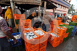 Fish Market in India