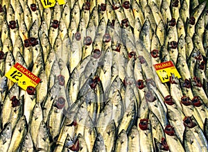Fish in a market photo