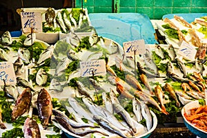 Fish market in Italy