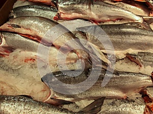 Fish market King Salmon