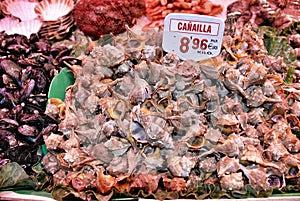 Fish market photo