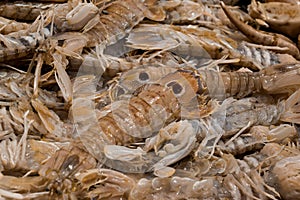 fish market with many different fresh fishes photo