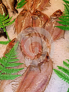 Fish on the Market in Marbella in Spain