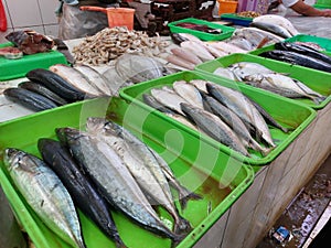 Fresh fish capture at traditional food market