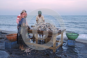 Fish market in Negombo