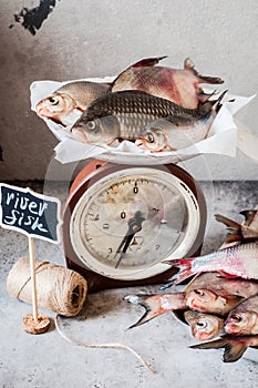 Fish Market, River Fish