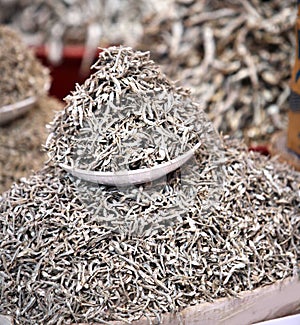 Fish market in South Korea