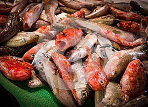 Fish Market 1, Spain.