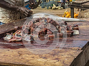 Fish market in Sri Lanka