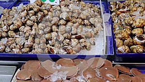 Fish market in Thailand Southeast Asia