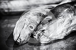 Fish market in Trogir, Croatia, colorless