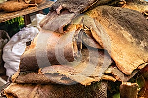 Fish on a market in Victoria, Seychelles