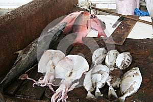 Fish market in Zanzibar