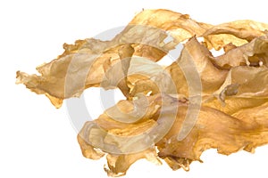 Fish Maw (Gas Bladder) Isolated photo