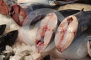 Fish meat