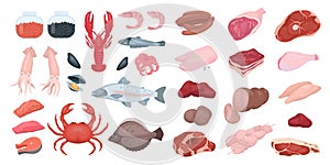 Fish and meat food set. Collection of fresh delicious meal