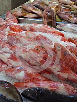 Fish At Mercado dos Lavradores photo