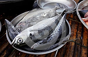 Fish in metal plate at the market