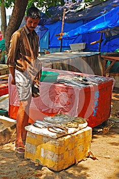 Fish Monger Selling Catch of the Day at Fort Cochi