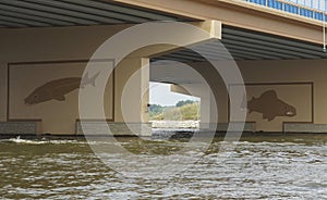 Fish Mural on Bridge