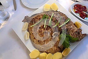 This fish name is Kalkan traditional name in Turkey