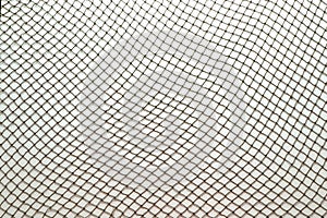 Fish Net