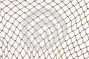 Fish net