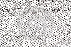 Fish Net