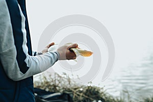 Fish in the net caught on the shore. Fish on a fishing trip caught on a spring. The fisherman releases the fish into the lake