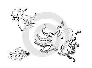 Fish and octopuses, colouring book page uncolored