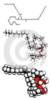 Fish oil triglyceride, molecular model