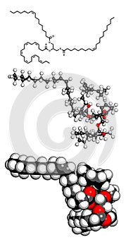 Fish oil triglyceride, molecular model