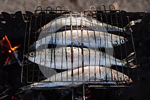 Fish omul on the grill. Four fish grilled on a grill on fire. Fresh seafood fish cooked over an open fire. Cooking