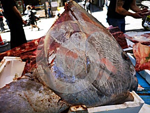 Fish in open seamarket photo