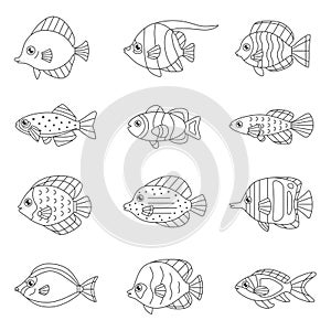 Fish outline vector icon set tropical, marine, oceanic.