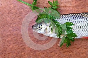 Fish and parsley