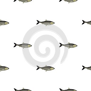 Fish pattern flat