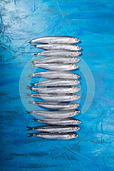 Fish pattern A group of anchovies on a blue background. Fish caught in the Ionian Sea, Italy, Apulia region