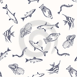 Fish pattern. Sketch of salmon. Hand drawn vector illustrations.
